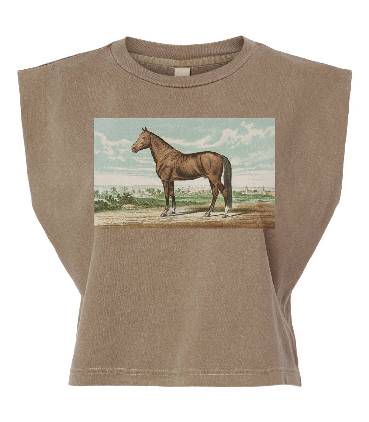 Horse Painting Boxy Tank
