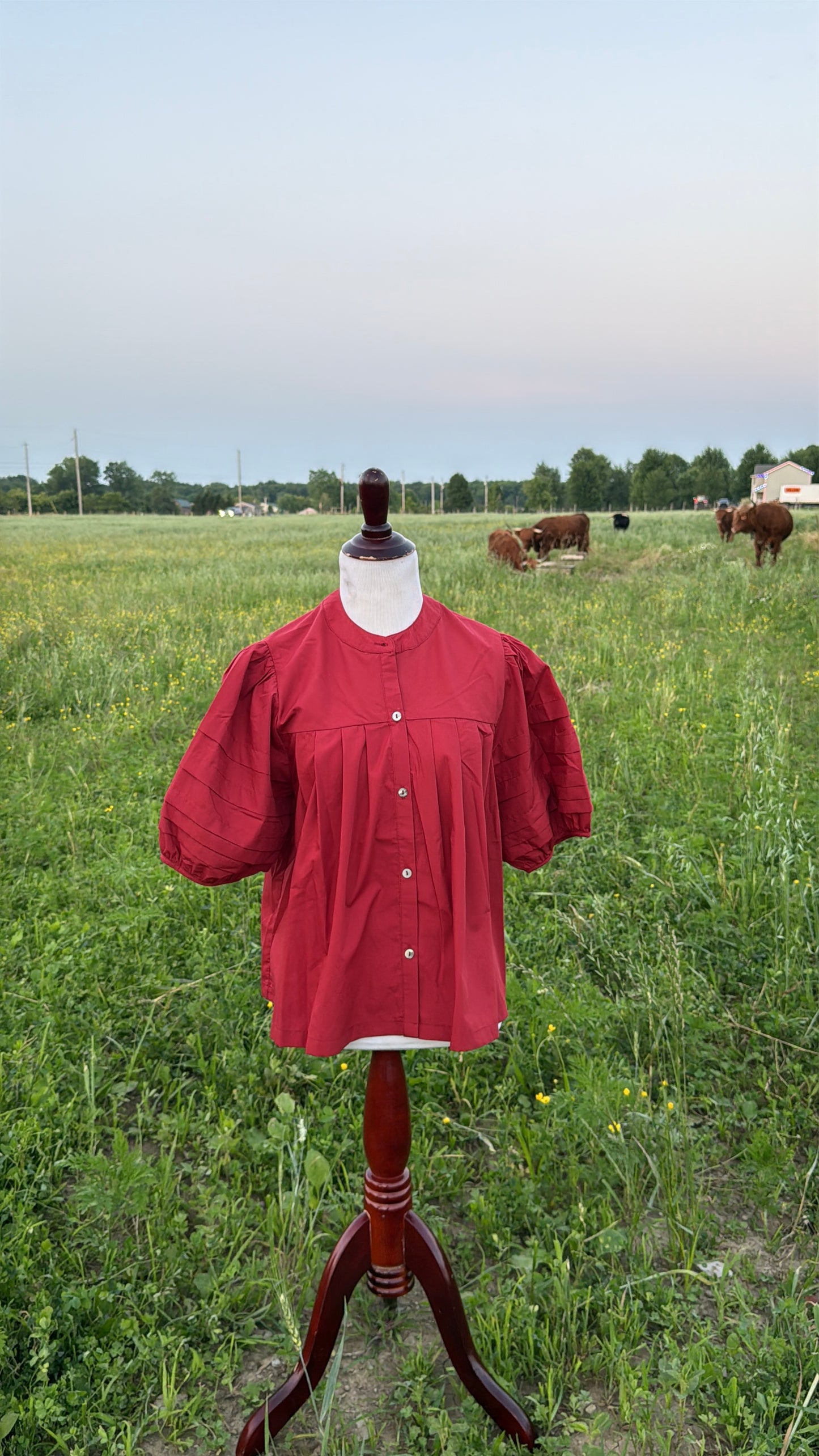 Puff Sleeve Button Top