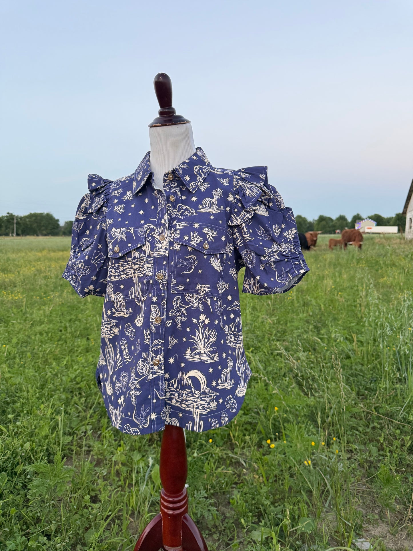 Denim Western Puff Sleeve Top